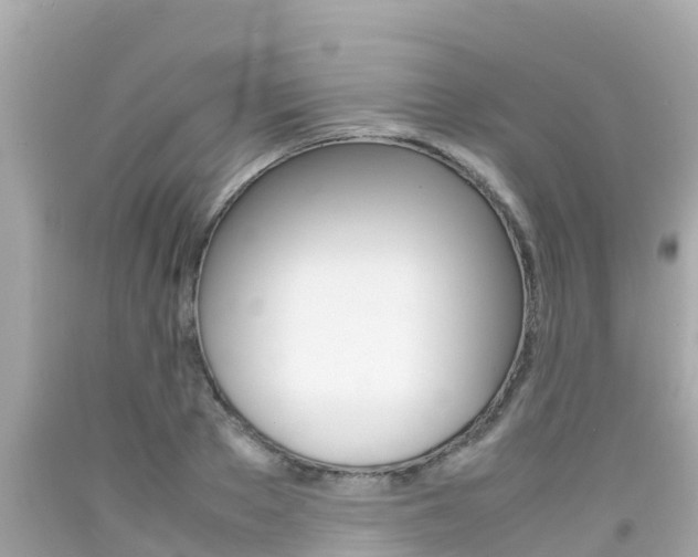 X0000092050889200709121023