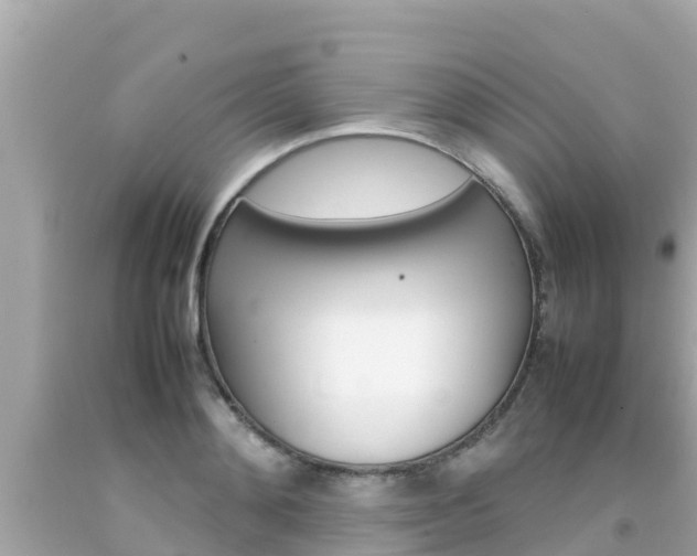X0000092050892200709121023