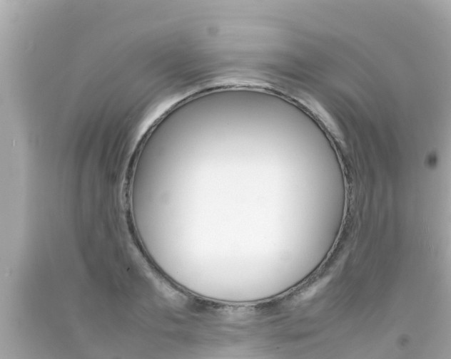 X0000092050893200709121023