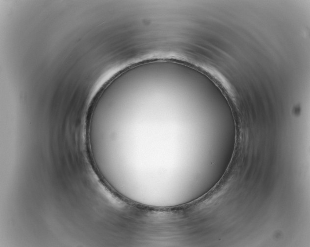 X0000092050894200709121023