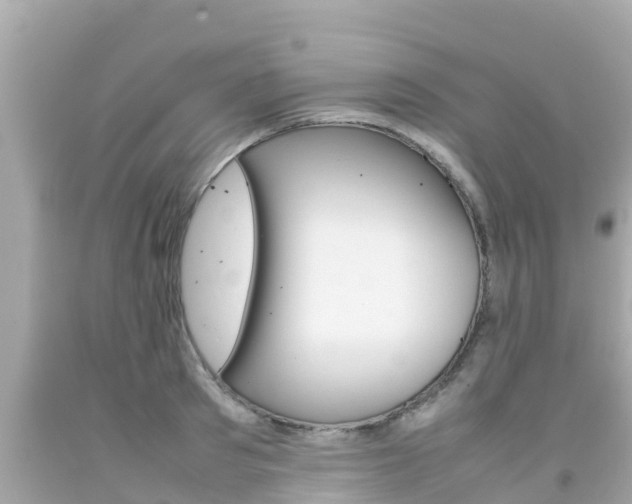 X0000092050897200709121022