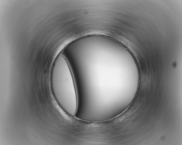 X0000092050898200709121022