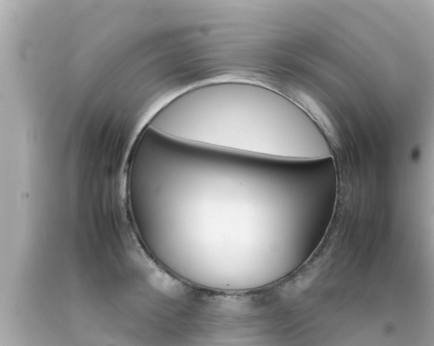 X0000092050900200709121022