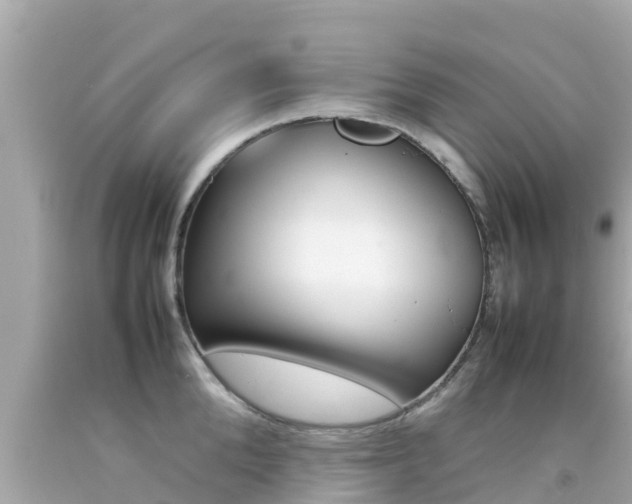 X0000092050904200709121022