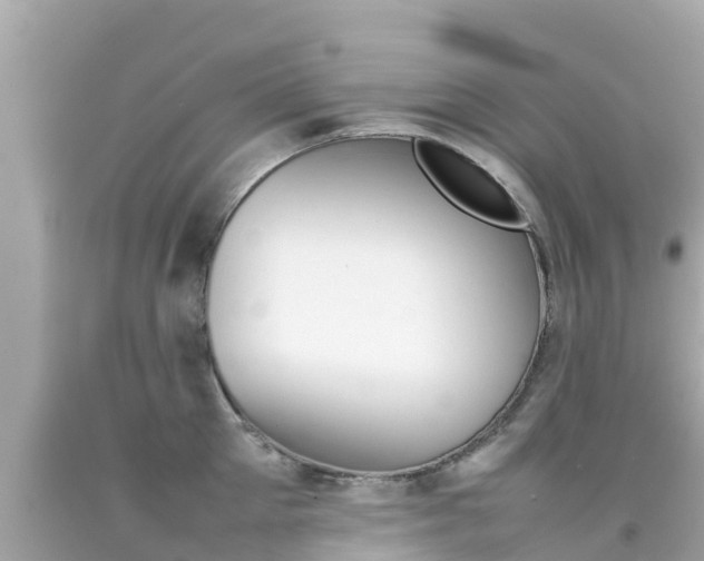 X0000092050905200709121022
