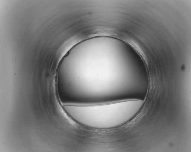 X0000092050906200709121022