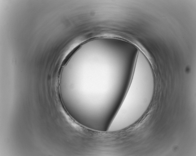 X0000092050909200709121022