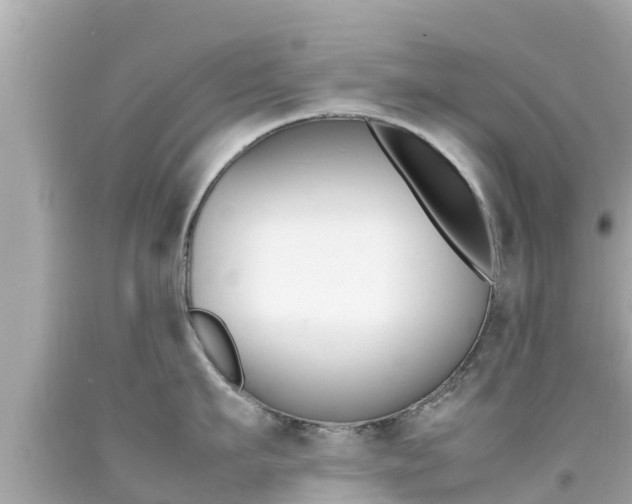 X0000092050911200709121022