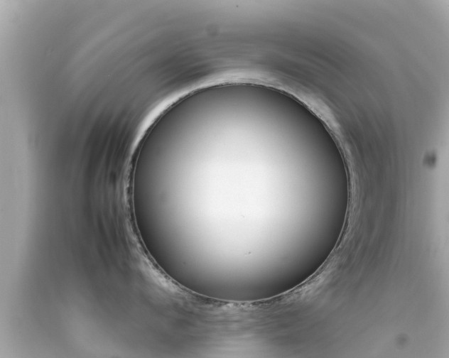 X0000092050912200709121022
