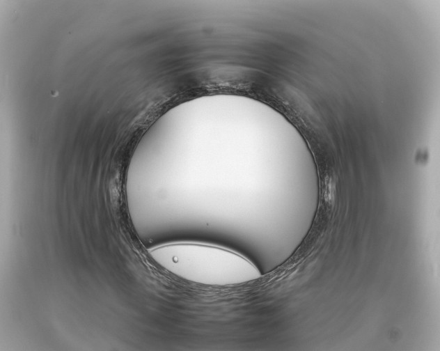X0000092050915200709121022