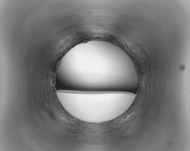 X0000092050916200709121022
