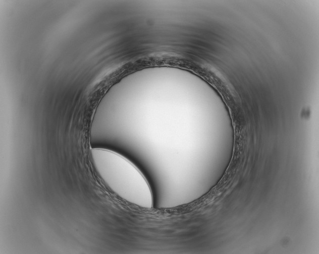 X0000092050919200709121022