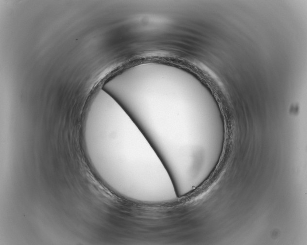 X0000092050921200709121022