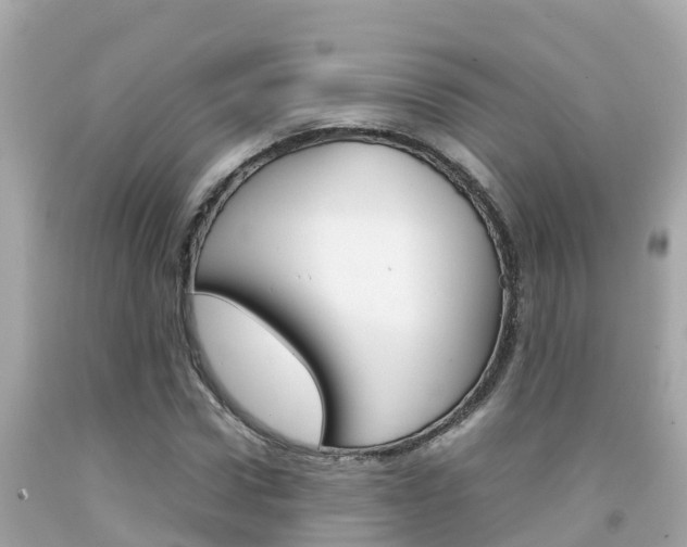 X0000092050922200709121022