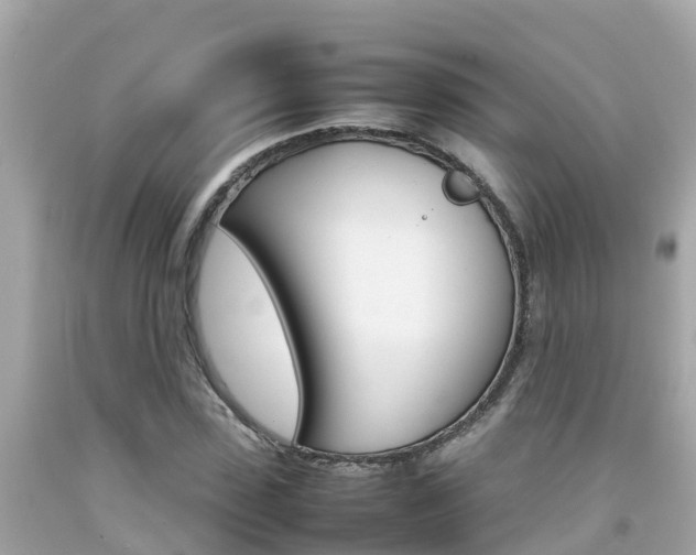X0000092050923200709121022
