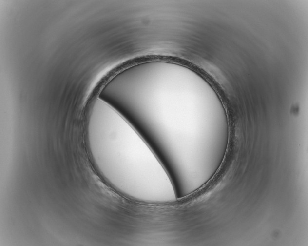 X0000092050926200709121022