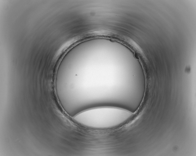 X0000092050930200709121022