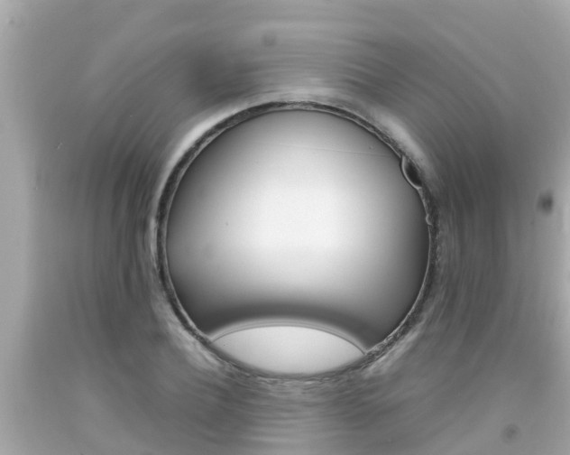 X0000092050932200709121022
