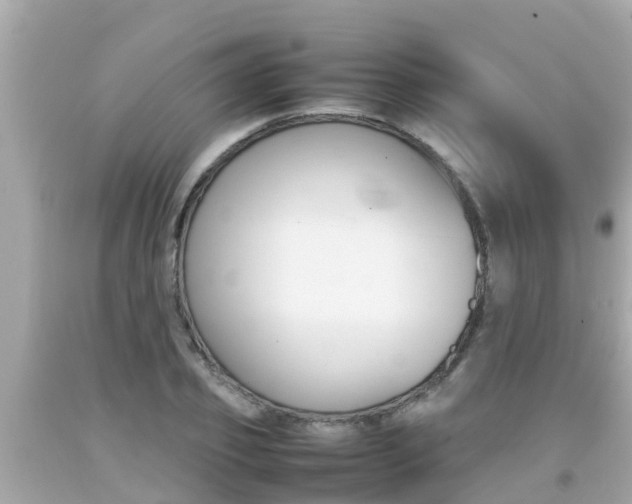 X0000092050933200709121022