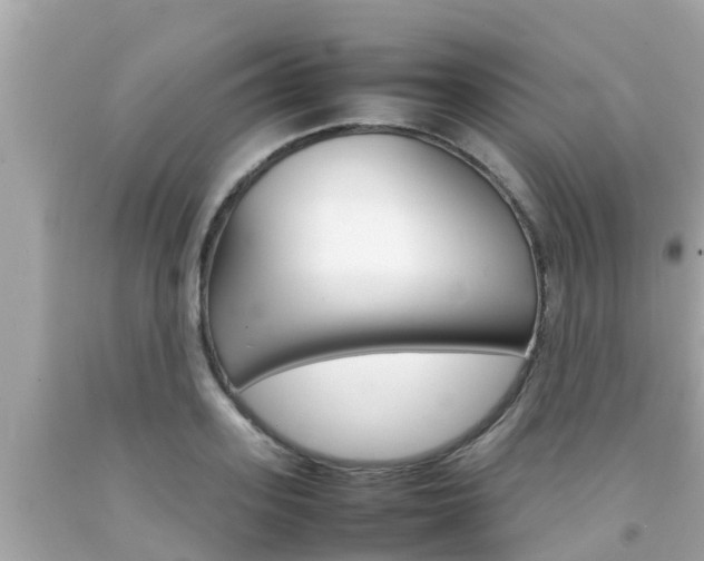 X0000092050939200709121022