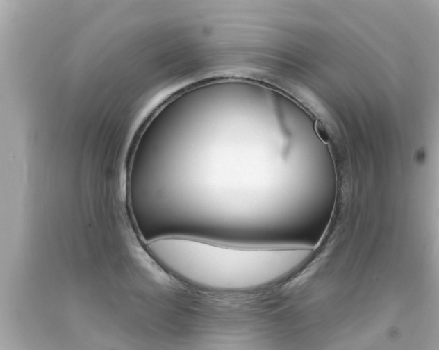 X0000092050940200709121022
