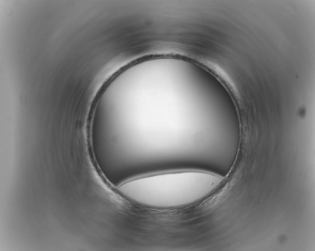 X0000092050943200709121022