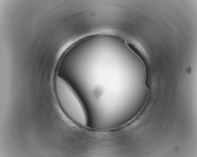 X0000092050944200709121022