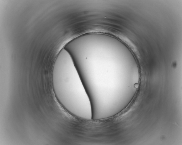 X0000092050945200709121022