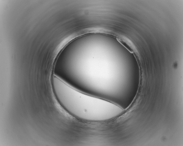 X0000092050946200709121022