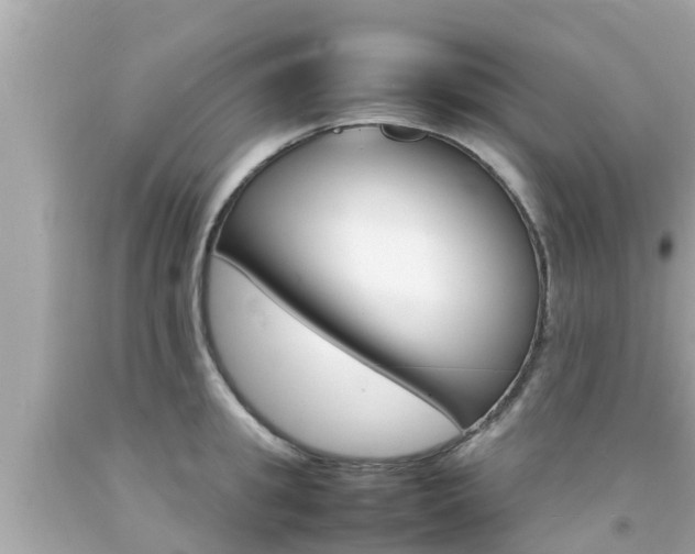 X0000092050949200709121022