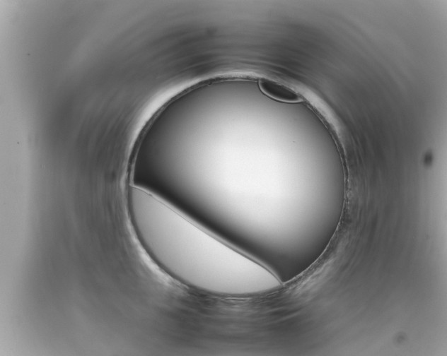 X0000092050951200709121022