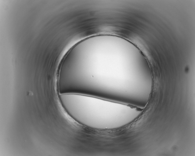X0000092050955200709121022
