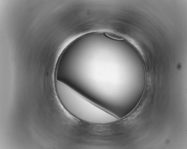 X0000092050959200709121022