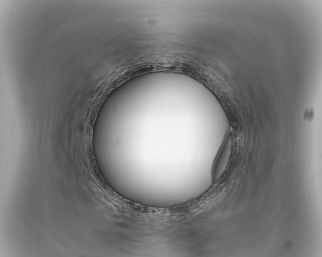X0000092050961200709121022