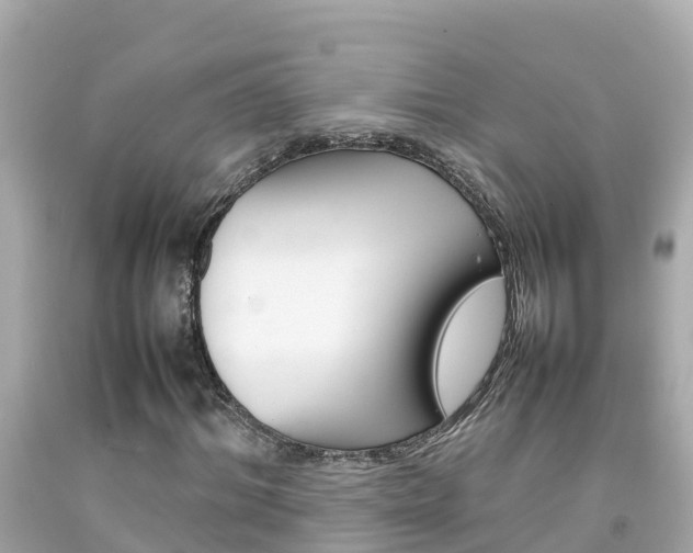 X0000092050964200709121022