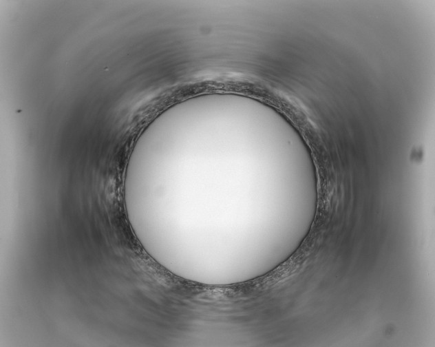 X0000092050966200709121022