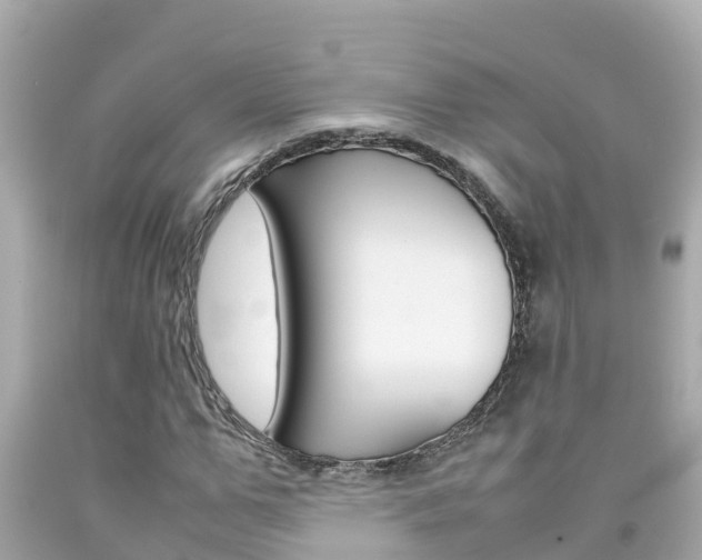 X0000092050967200709121022