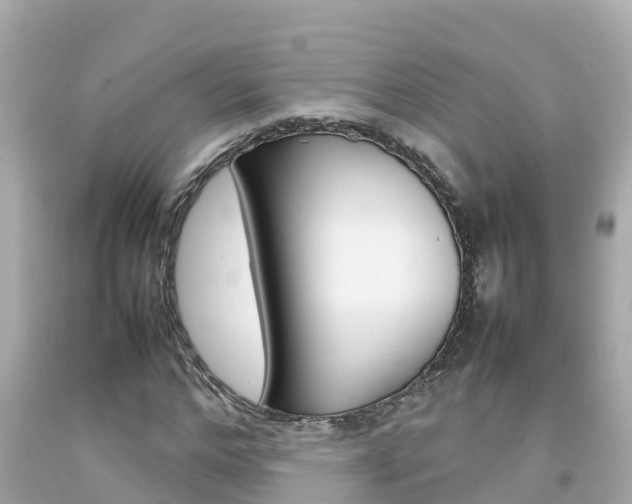 X0000092050968200709121022