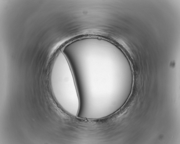 X0000092050971200709121022