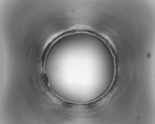 X0000092050973200709121022