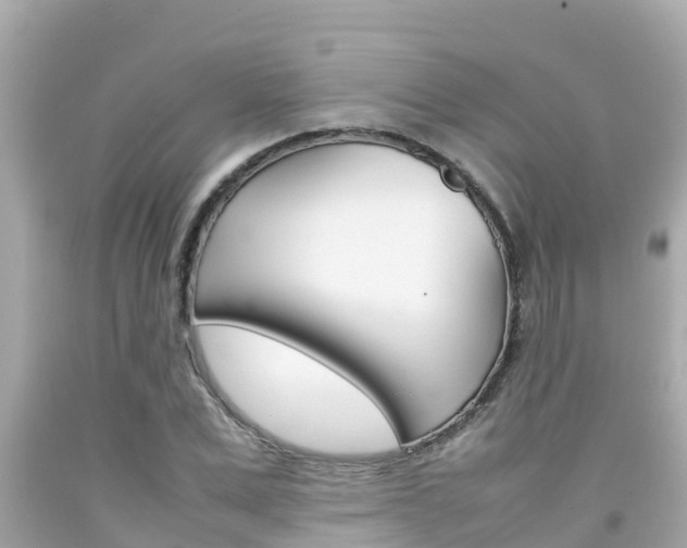 X0000092050975200709121022