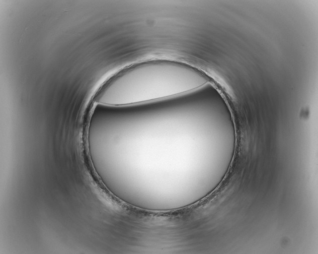 X0000092050976200709121021