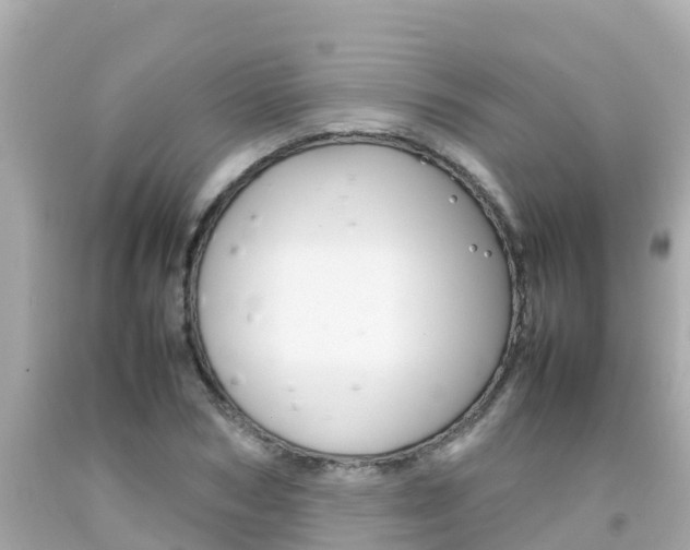 X0000092050978200709121021