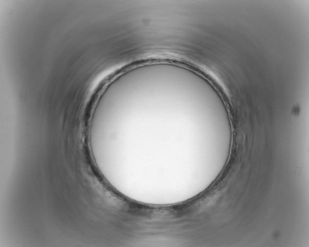 X0000092050979200709121021