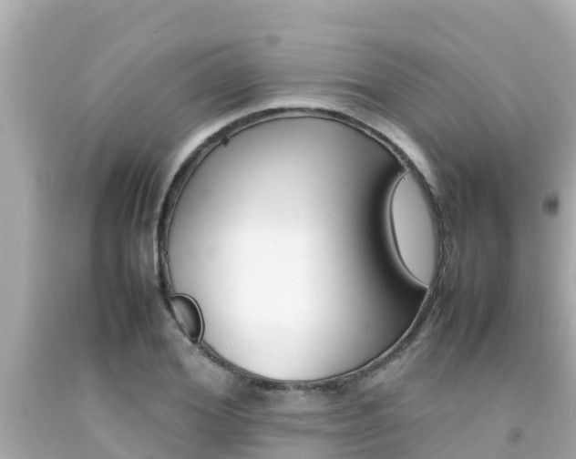 X0000092050980200709121021
