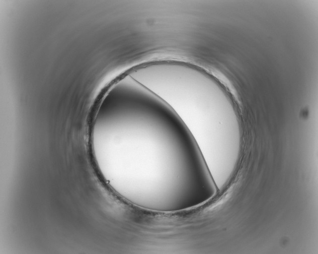 X0000092050981200709121021