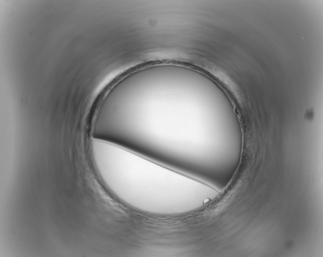 X0000092050983200709121021