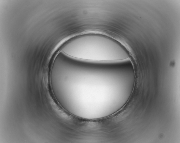 X0000092050984200709121021