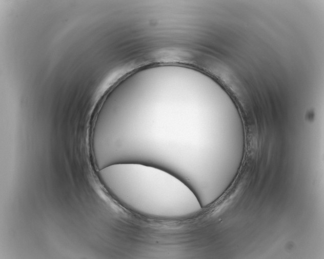 X0000092050986200709121021