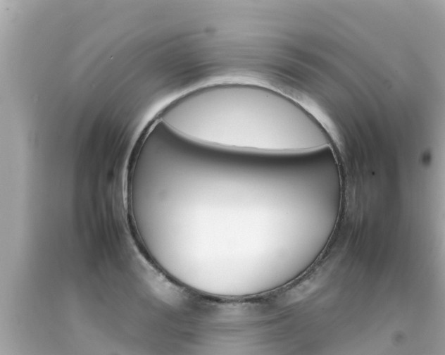 X0000092050988200709121021